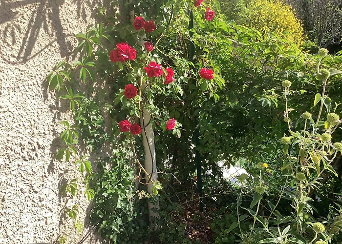 Numero 190 Rue Des Moulins Nid Douillet Au Coeur De La Haute Provence Vacheres